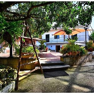 Deluxe Double or Twin Room Garden View